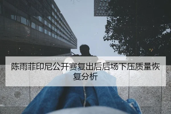 陈雨菲印尼公开赛复出后后场下压质量恢复分析
