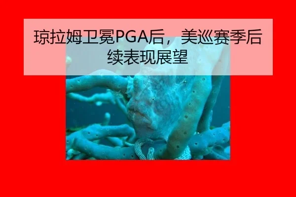 琼拉姆卫冕PGA后，美巡赛季后续表现展望