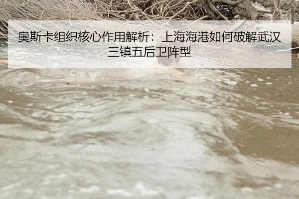 奥斯卡组织核心作用解析：上海海港如何破解武汉三镇五后卫阵型